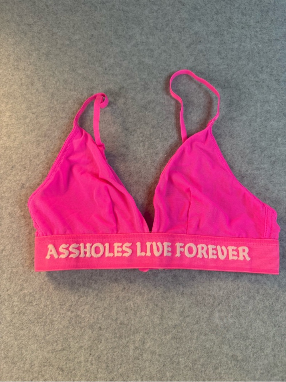 ASSHOLES LIVE FOREVER Hot Pink Mesh Bralette with Slogan Medium